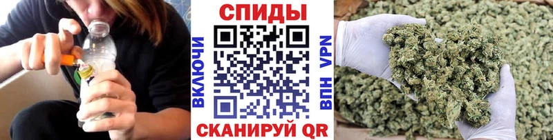 мориарти Telegram  Петровск  БУТИРАТ 1.4BDO 