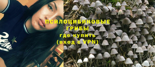а пвп мука Алзамай