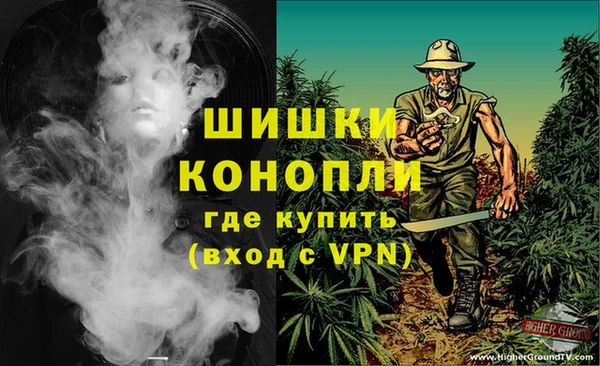 шишки Алексин
