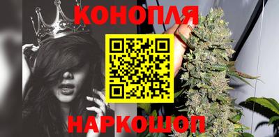 мдпв Славгород