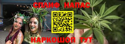 таблы Сланцы