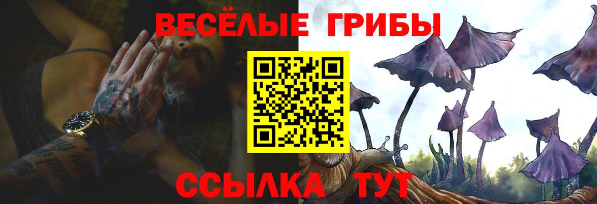 Псилоцибиновые грибы Psilocybine cubensis  Вход с VPN  Петровск  Галлюциногенные грибы Magic Shrooms 